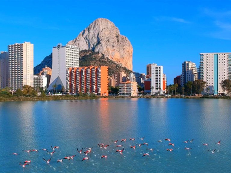 Villa for Sale in Costa Blanca Calpe, Alicante 5