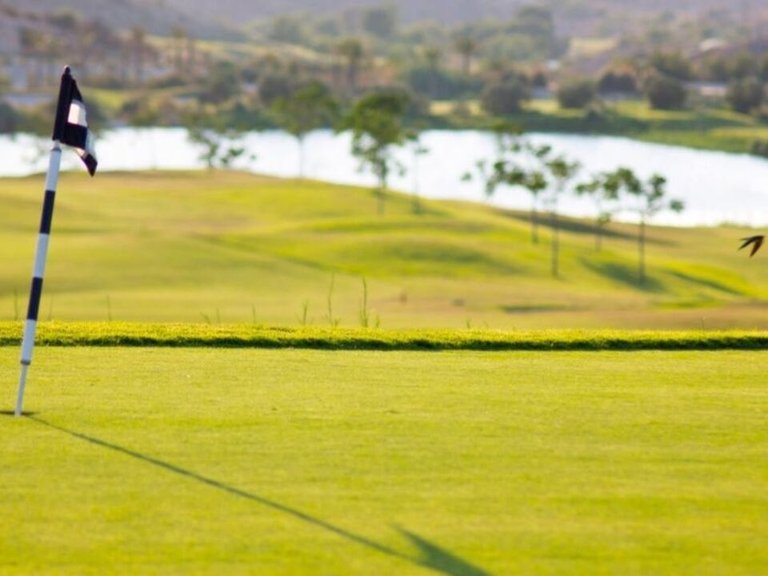 Villa for Sale in Inland Monforte Del Cid, Alicante 12