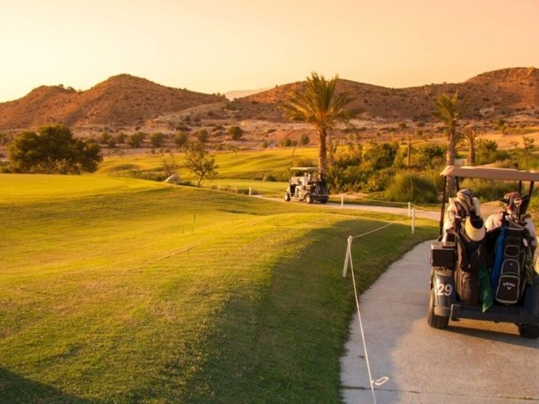 Villa for Sale in Inland Monforte Del Cid, Alicante 13