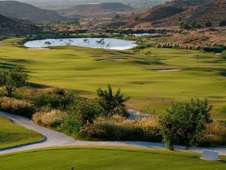 Villa for Sale in Inland Monforte Del Cid, Alicante 15