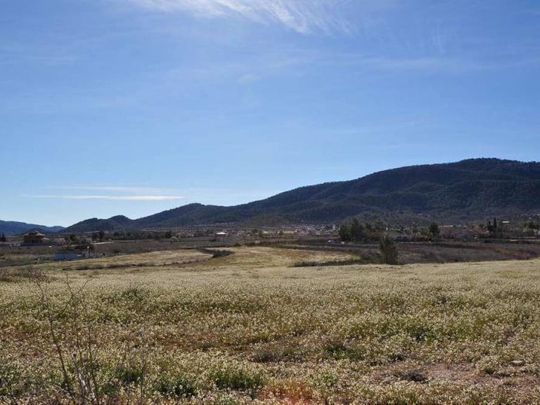 Plot for Sale in Chinorlet, Alicante 2