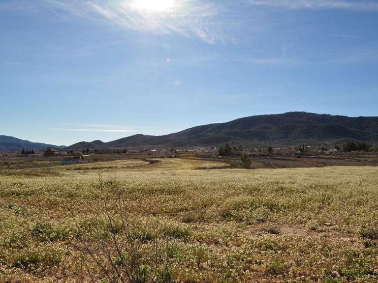 Plot for Sale in Chinorlet, Alicante 6