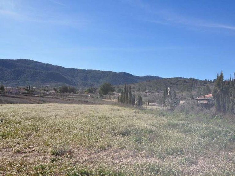 Plot for Sale in Chinorlet, Alicante 8