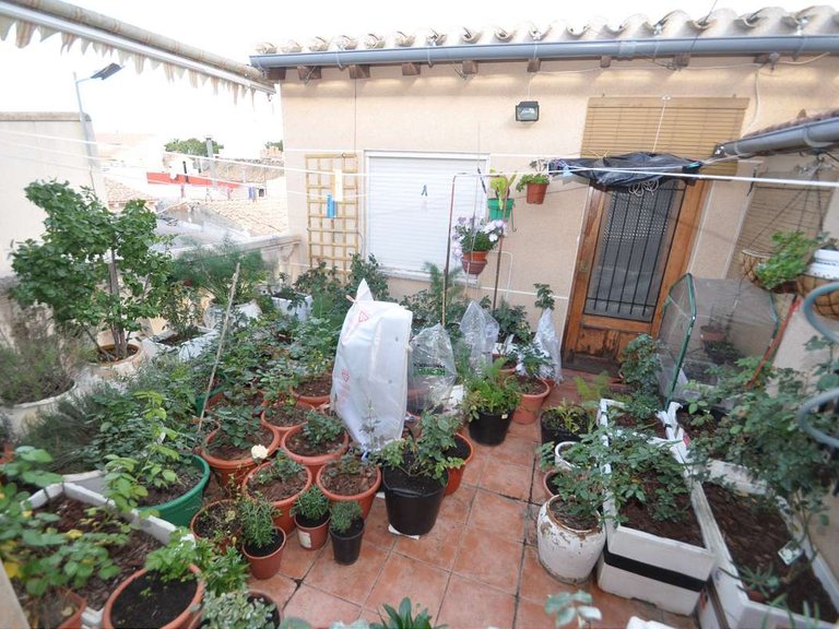 Town House for Sale in Pinoso, Alicante 18