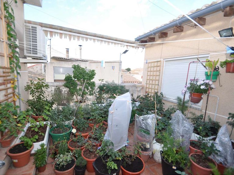 Town House for Sale in Pinoso, Alicante 19