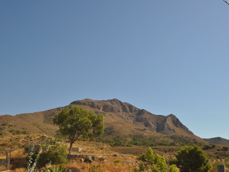 Plot for Sale in Macisvenda, Murcia 4