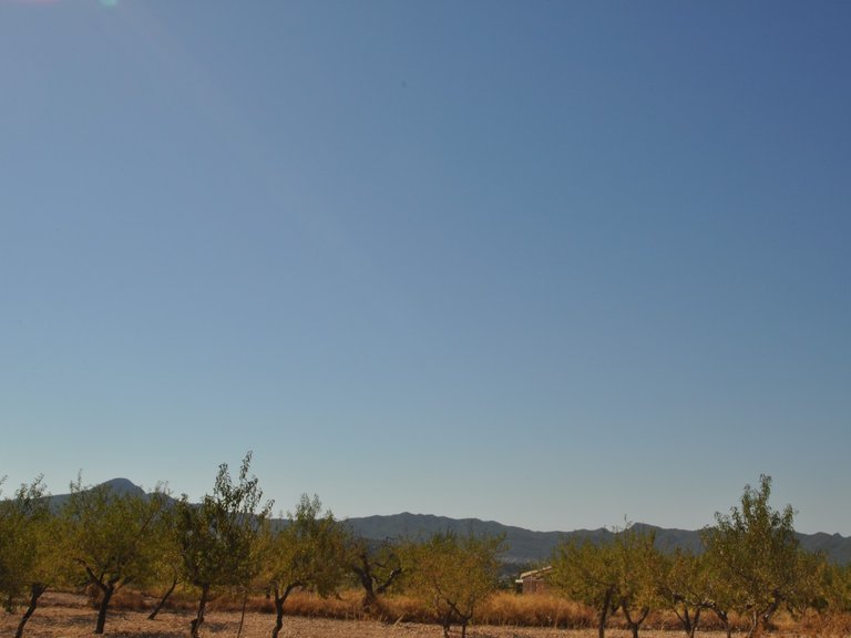 Plot for Sale in Macisvenda, Murcia 5