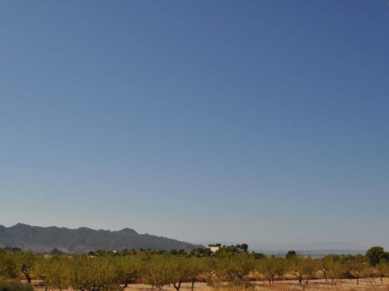 Plot for Sale in Macisvenda, Murcia 6