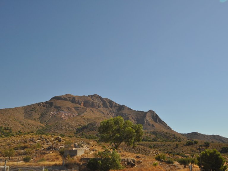 Plot for Sale in Macisvenda, Murcia 9