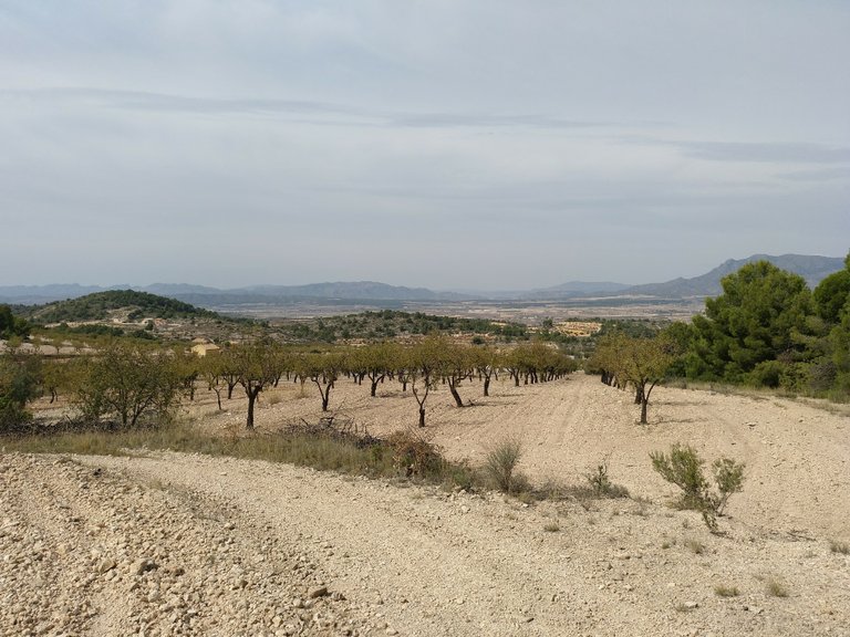 Plot for Sale in Abanilla, Murcia 1