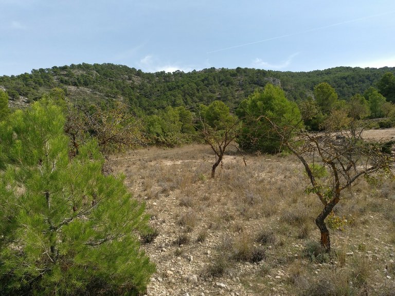 Plot for Sale in Abanilla, Murcia 3