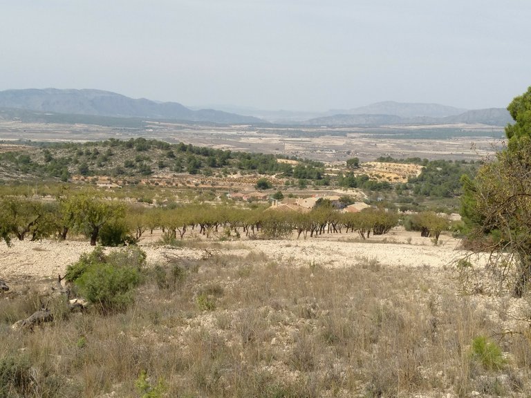 Plot for Sale in Abanilla, Murcia 5