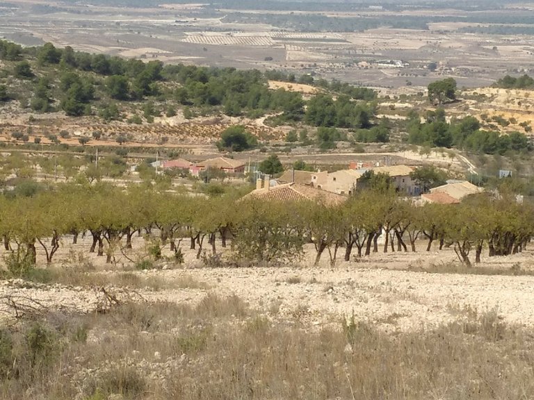 Plot for Sale in Abanilla, Murcia 6