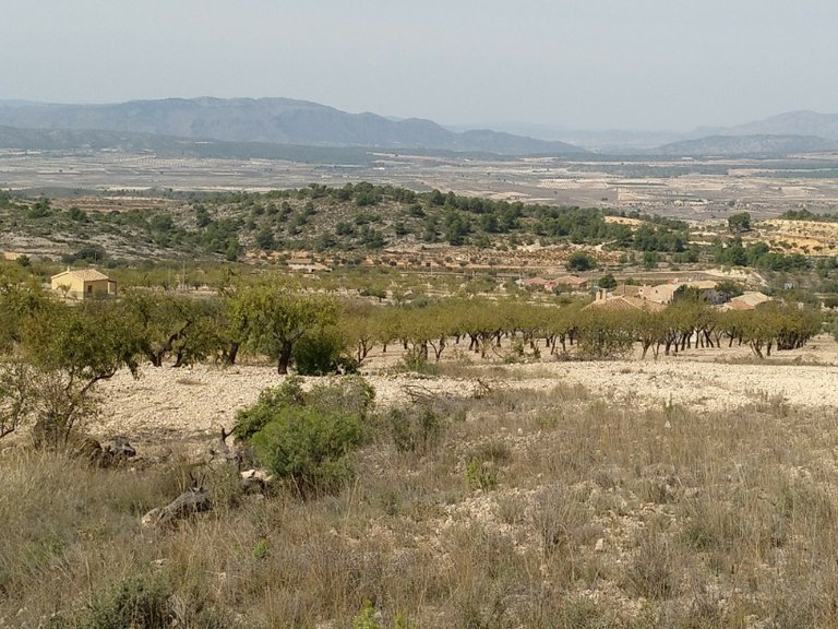 Plot for Sale in Abanilla, Murcia 7