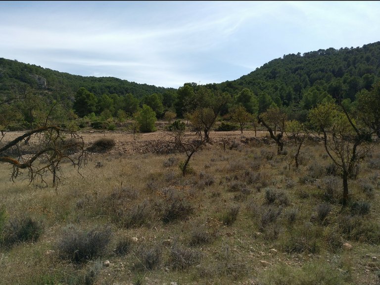 Plot for Sale in Abanilla, Murcia 8