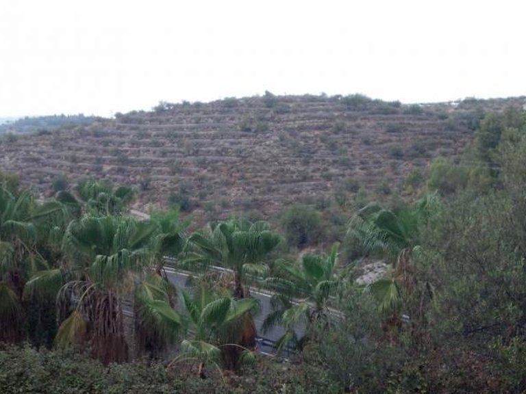 Plot for Sale in Gandia, Alicante 1