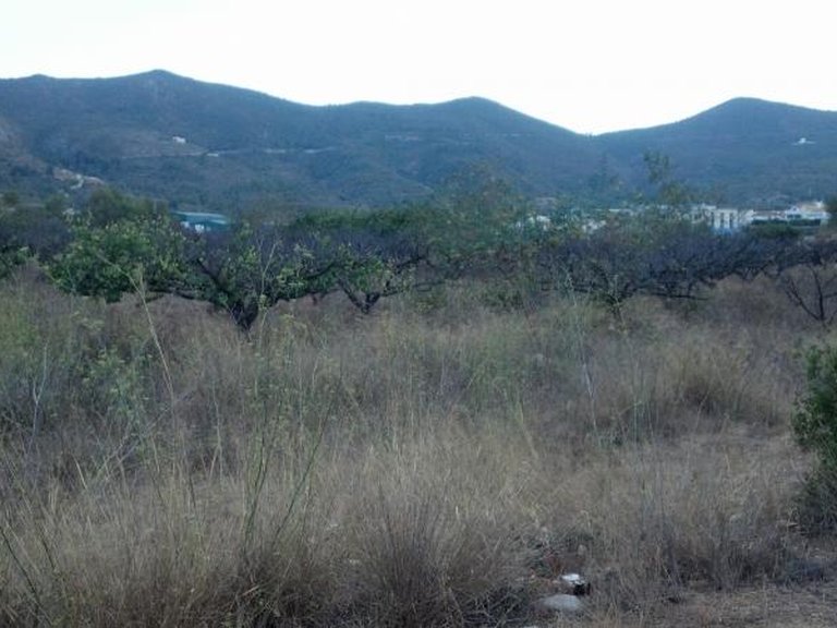 Plot for Sale in Gandia, Alicante 3