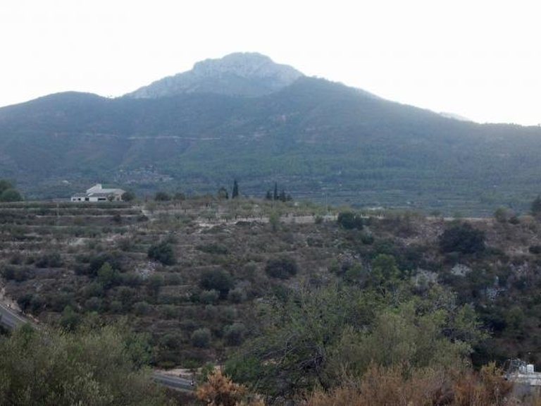 Plot for Sale in Gandia, Alicante 5