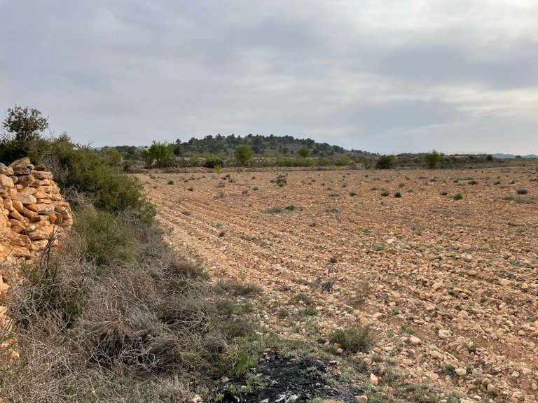 Plot for Sale in Yecla, Murcia 11