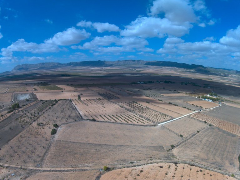 Plot for Sale in Yecla, Murcia 1