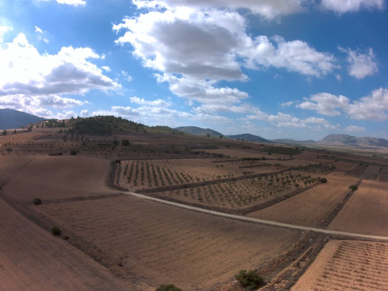 Plot for Sale in Yecla, Murcia 2