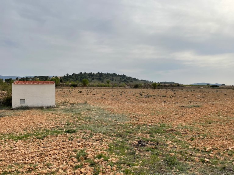 Plot for Sale in Yecla, Murcia 14