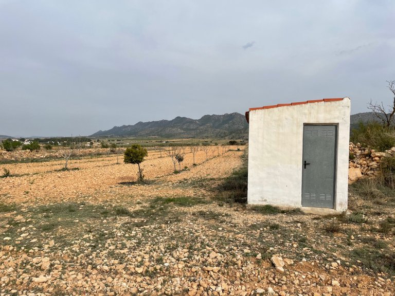 Plot for Sale in Yecla, Murcia 13