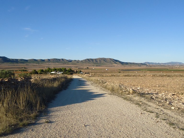 Plot for Sale in Yecla, Murcia 7