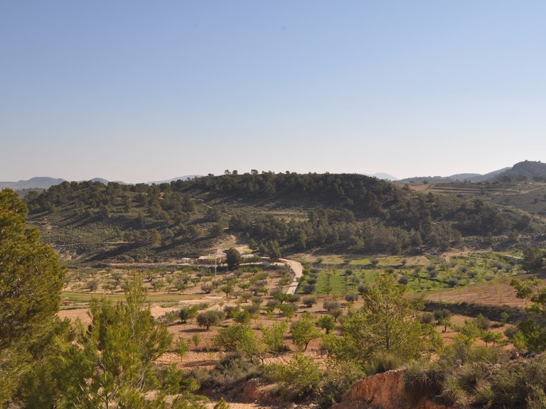 Plot for Sale in La Zarza, Murcia 6