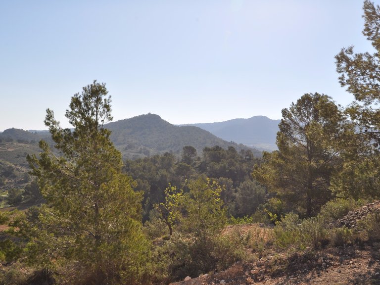 Plot for Sale in La Zarza, Murcia 7