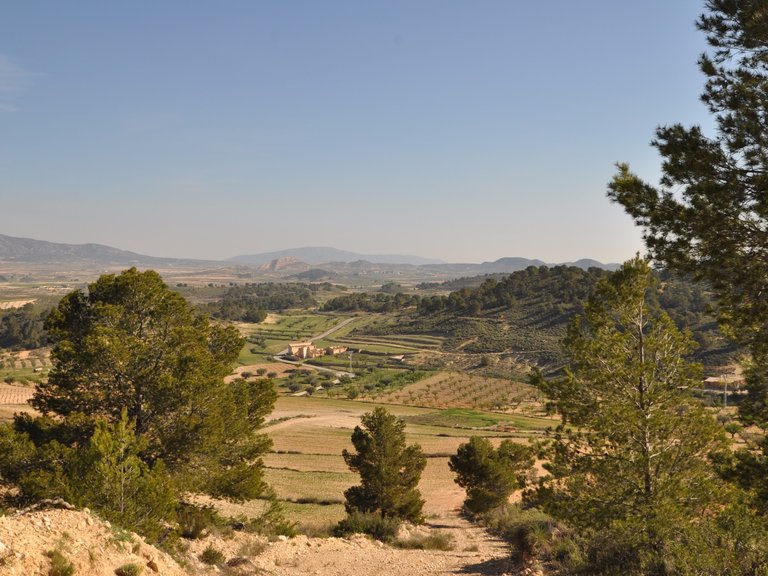 Plot for Sale in La Zarza, Murcia 3