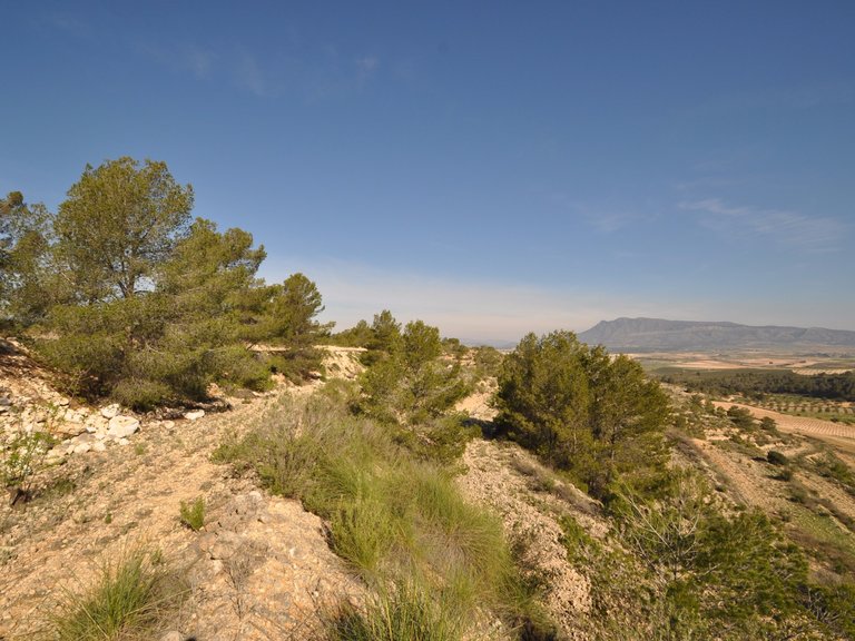 Plot for Sale in La Zarza, Murcia 4
