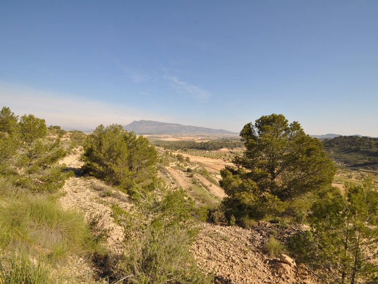 Plot for Sale in La Zarza, Murcia 5
