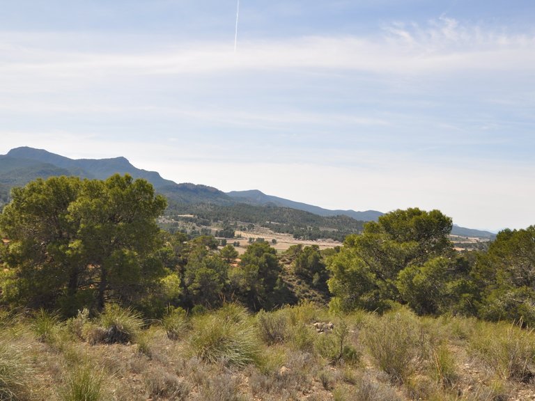 Plot for Sale in La Zarza, Murcia 21