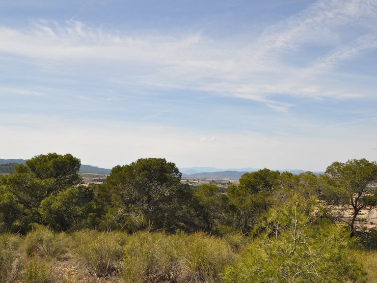Plot for Sale in La Zarza, Murcia 22