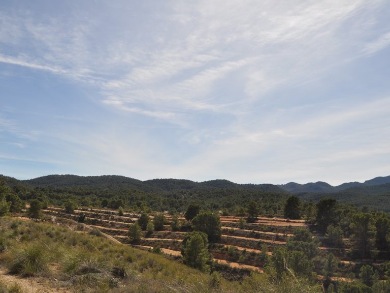 Plot for Sale in La Zarza, Murcia 19