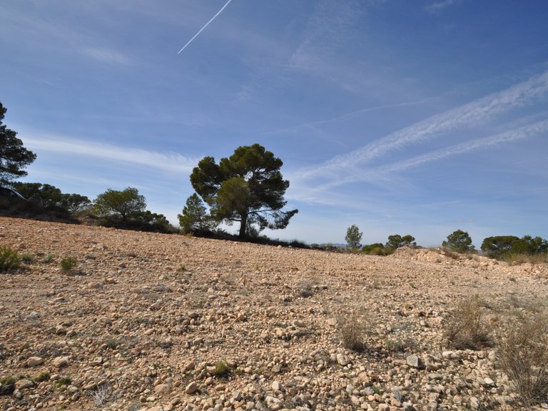 Plot for Sale in La Zarza, Murcia 2