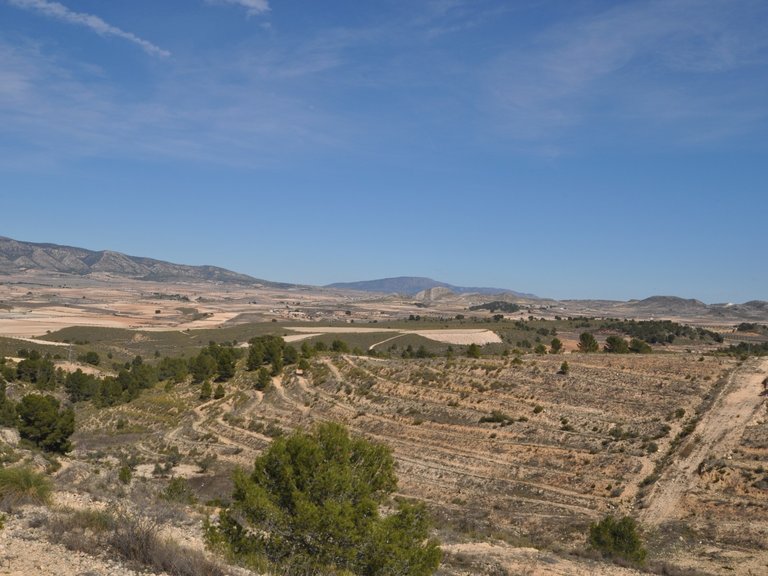 Plot for Sale in La Zarza, Murcia 14