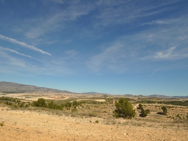Plot for Sale in La Zarza, Murcia 1