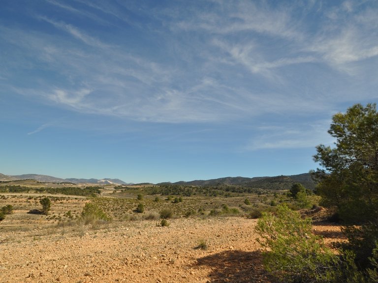 Plot for Sale in La Zarza, Murcia 4