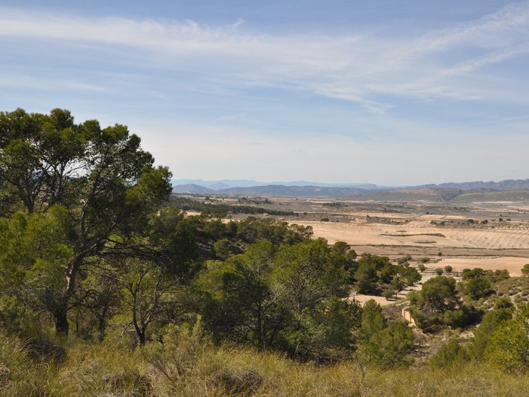 Plot for Sale in La Zarza, Murcia 6