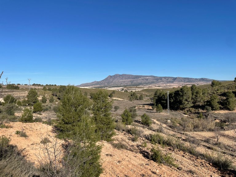 Plot for Sale in La Zarza, Murcia 1