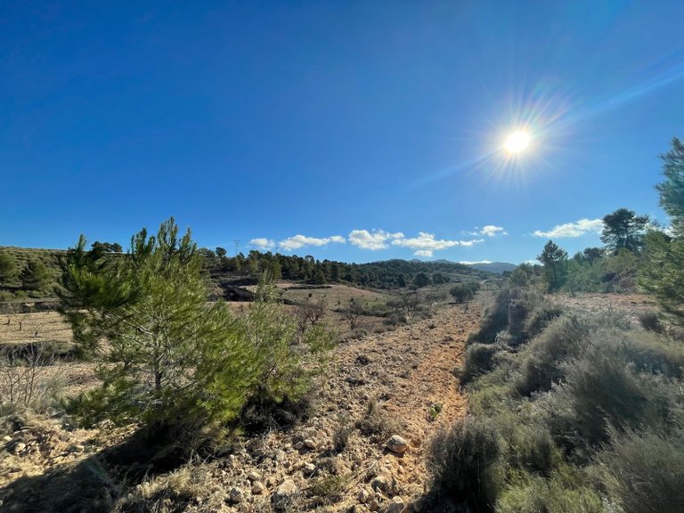 Plot for Sale in La Zarza, Murcia 9