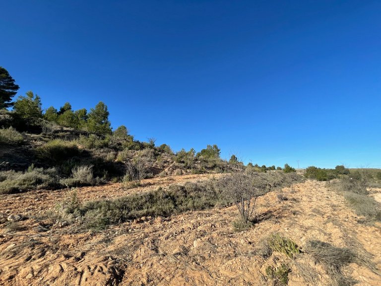 Plot for Sale in La Zarza, Murcia 10