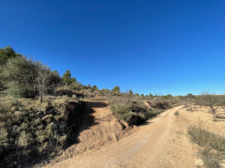 Plot for Sale in La Zarza, Murcia 11