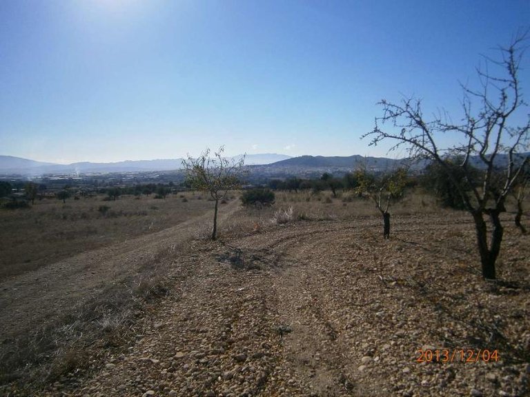 Plot for Sale in Yecla, Murcia 1
