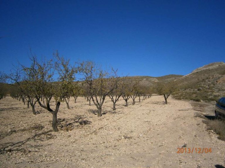 Plot for Sale in Yecla, Murcia 6