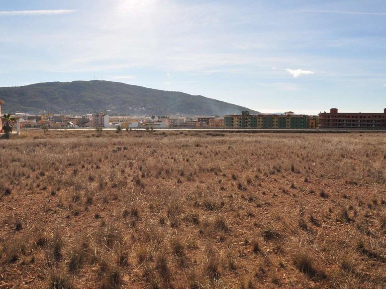 Plot for Sale in Pinoso, Alicante 1