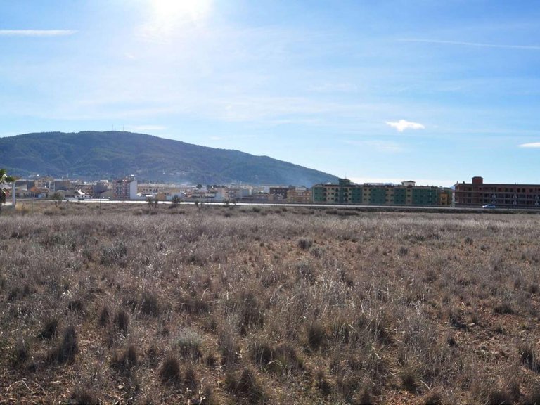 Plot for Sale in Pinoso, Alicante 2