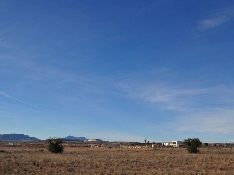 Plot for Sale in Pinoso, Alicante 3